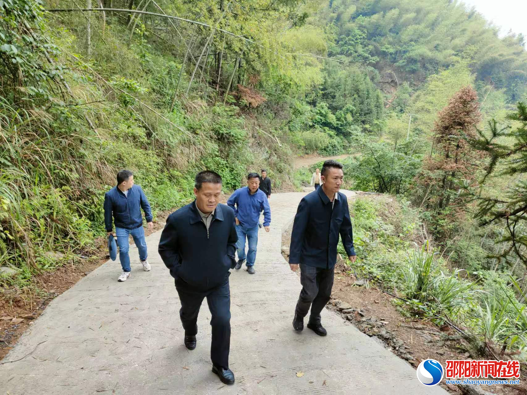 洞口县：常态化开展巡林工作