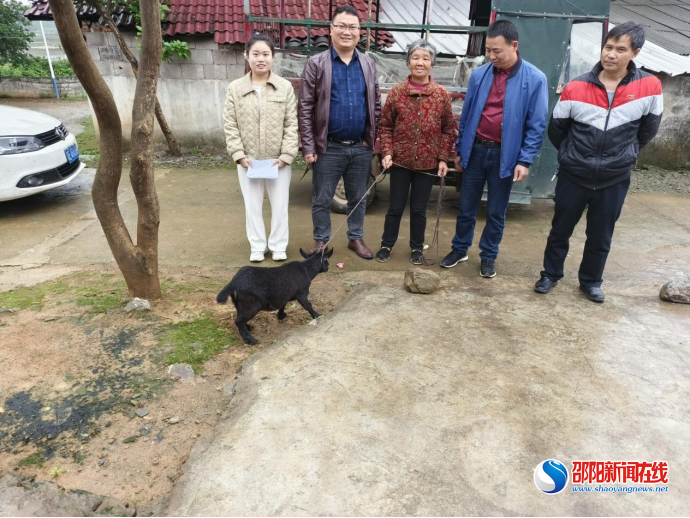 洞口县黄桥镇：圆梦微心愿 聚力助生产
