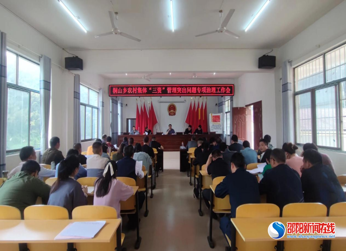 洞口县桐山乡：以“三湘护农”为抓手，全面助力乡村振兴