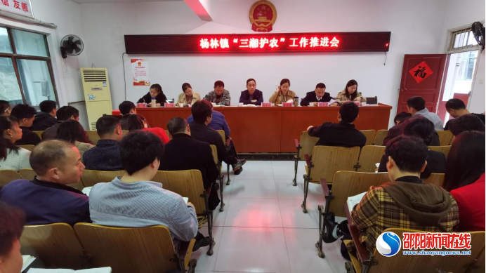洞口县杨林镇：强化财务纪律，护好村级“钱袋子”