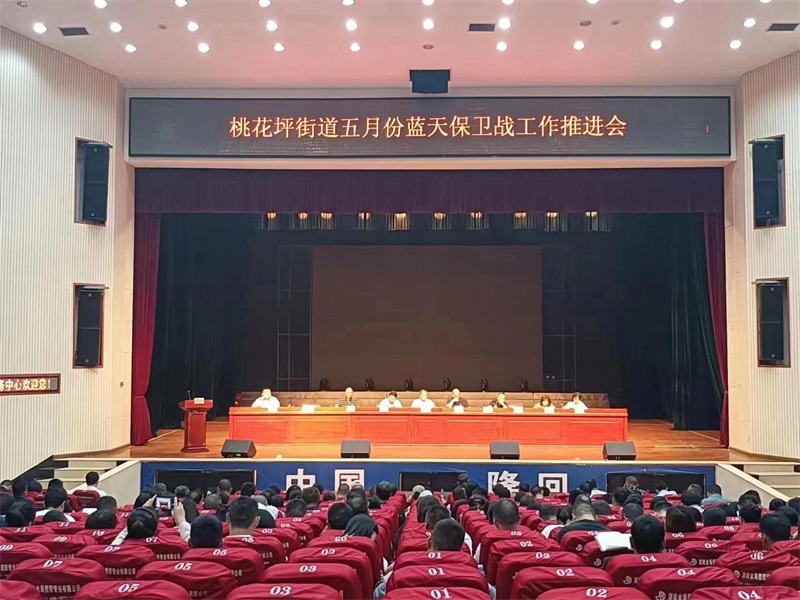 隆回县桃花坪街道召开蓝天保卫战推进会
