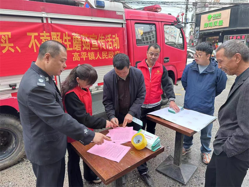 隆回县高平镇组织开展预防野生蘑菇中毒宣传活动