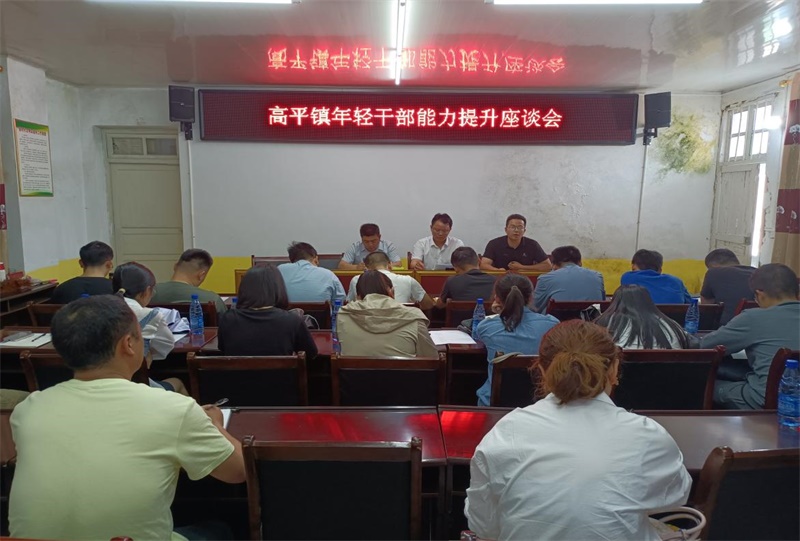 隆回县高平镇召开年轻干部能力提升座谈会