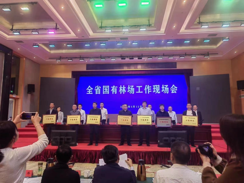 洞口县桥头国有林场喜获湖南省2022年度十佳国有林场称号