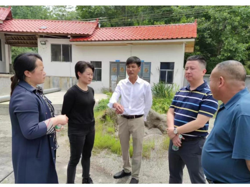 洞口县山门镇推进“三湘护农”助力乡村振兴