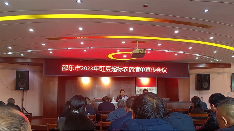 邵东市多措并举、扎实推进豇豆农药残留突出问题攻坚治理