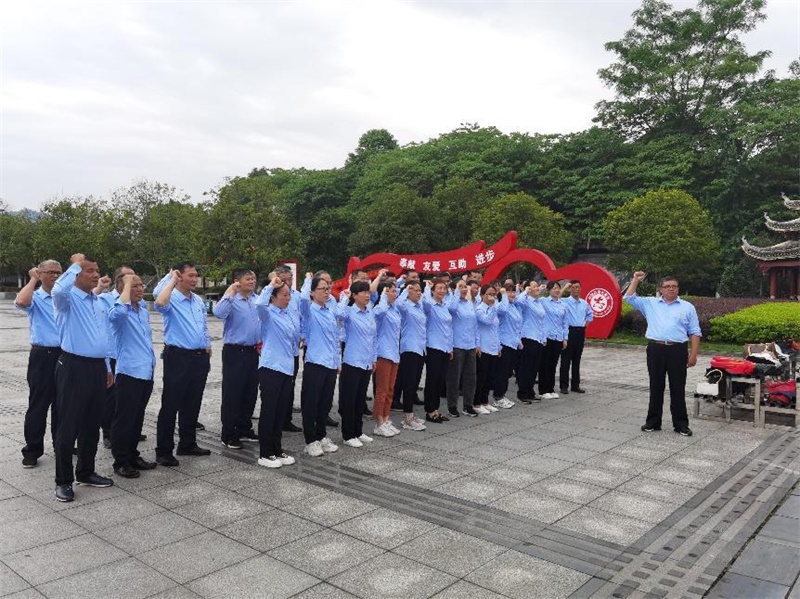 洞口县市场监督管理局开展“一月一课一片一实践”主题党日活动