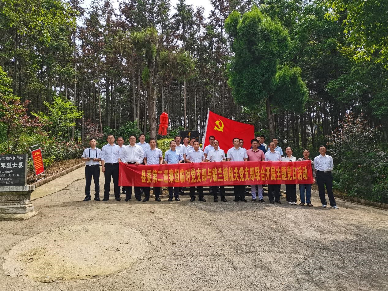 洞口县开展“缅怀先烈忆初心砥砺奋进强党性”主题党日活动
