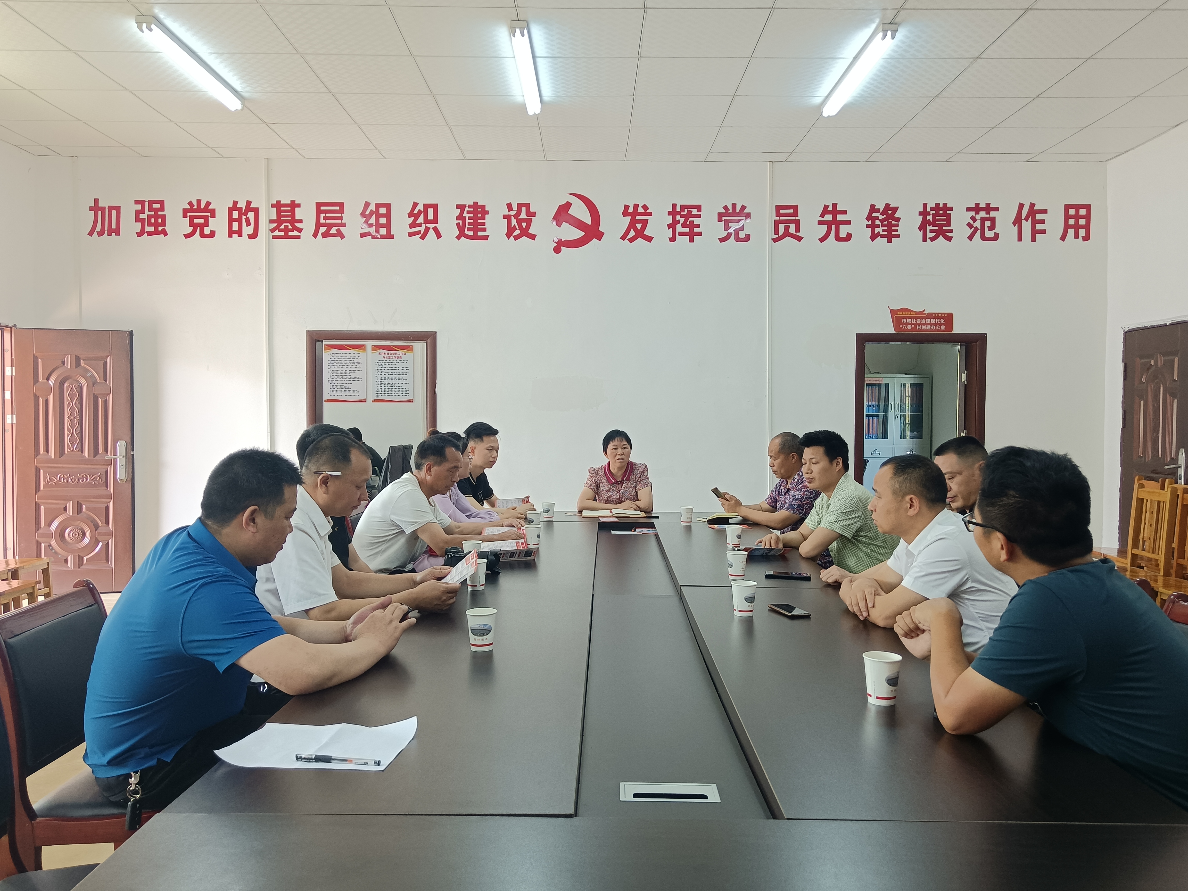 洞口县毓兰镇组织开展人大代表小组活动