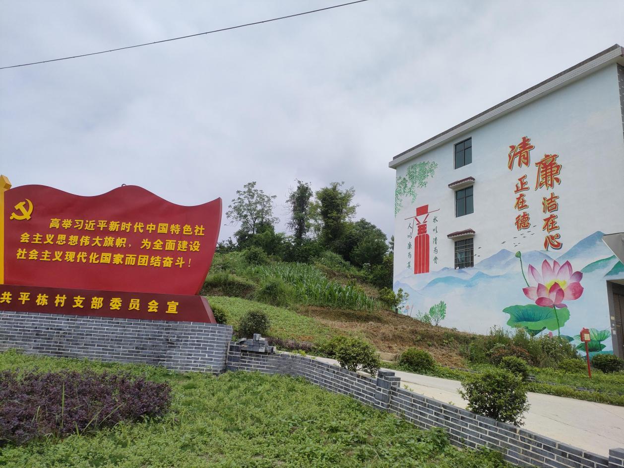 洞口县文昌街道开展“周五大扫除”和“周一党员活动和创文创卫单位共建”专项行动