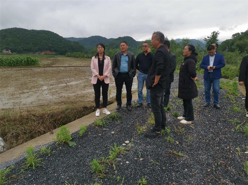新宁县实现县级田长巡田常态化 坚决遏制耕地耕地“非农化”“非粮化”