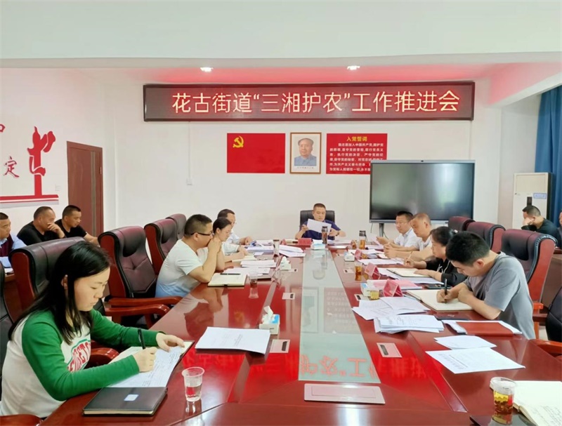 洞口县花古街道纪工委：“三个紧盯”压实“三湘护农”监督责任