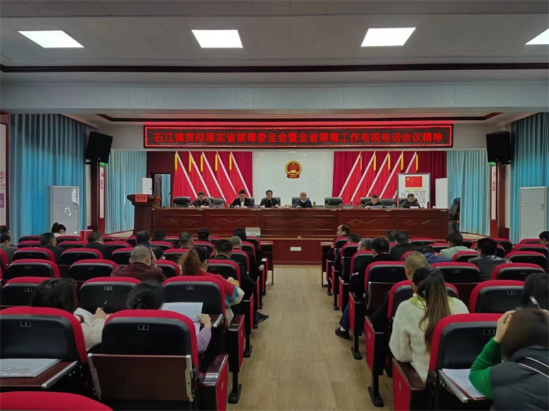 洞口县石江镇：学习禁毒精神，打造无毒石江