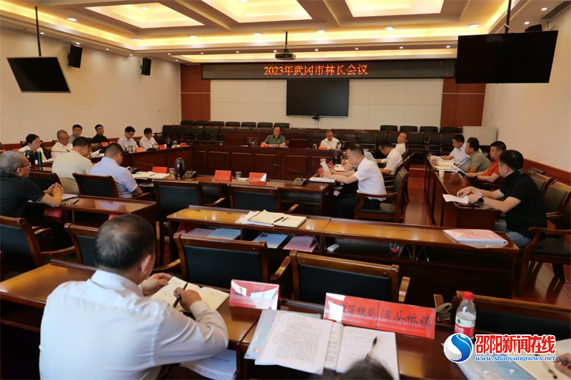 武冈市召开2023年林长会议