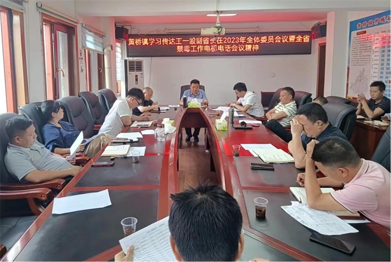 洞口县黄桥镇学习传达王一殴副省长在2023年省禁毒委全会暨全省禁毒工作电视电话会议精神