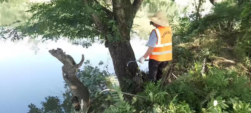 邵东市宋家塘街道开展河道岸坡杂草清理行动