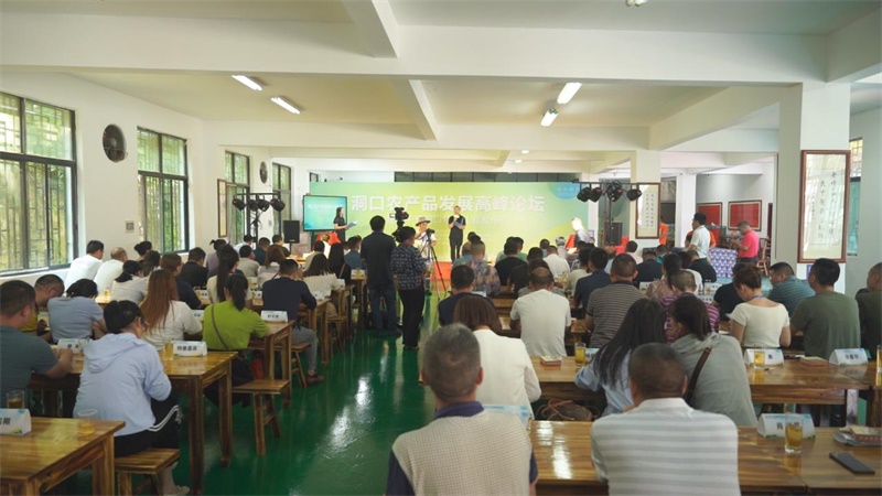 洞口县举行农产品发展高峰论坛暨端午节洞口特产礼盒发布会