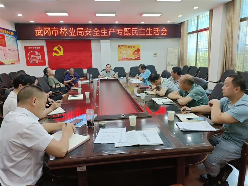 武冈市林业局召开安全生产专题民主生活会
