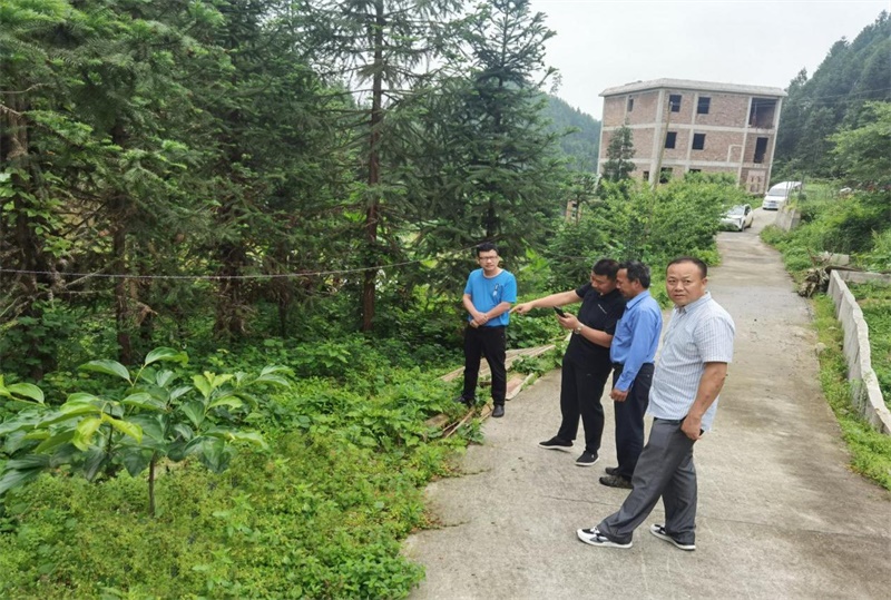 洞口县桐山乡纪委：以监督实效确保“护农”质效