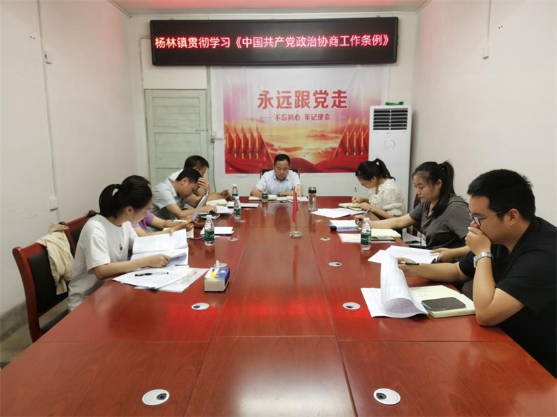 洞口县杨林镇召开政协专题工作会议