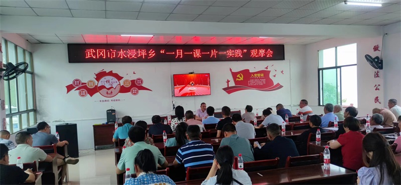 武冈市水浸坪乡举办“一月一课一片一实践”活动观摩会
