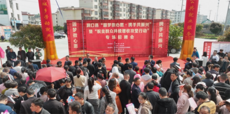 洞口县“五项”助力领跑高质量就业