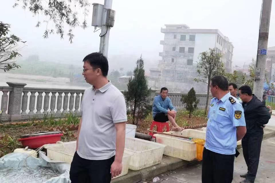 武冈市水浸坪乡开展野生蘑菇执法检查