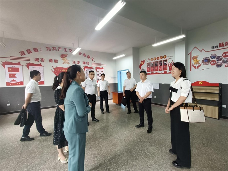 团市委到洞口县芙蓉学校调研指导