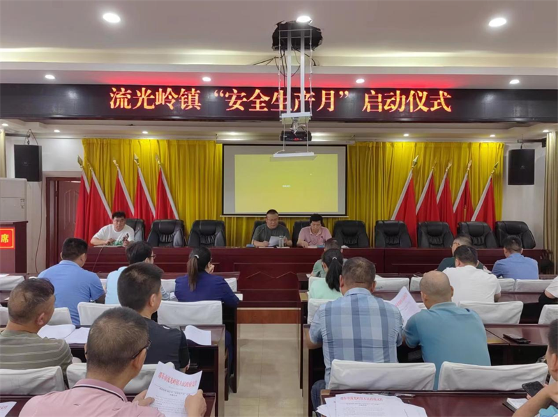 邵东市流光岭镇召开第二季度安全生产形势分析研判会暨“安全生产月”启动仪式