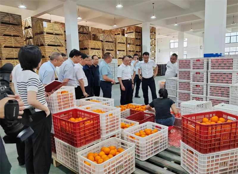 中国东方资产湖南分公司: 勇担社会责任，助力乡村产业振兴