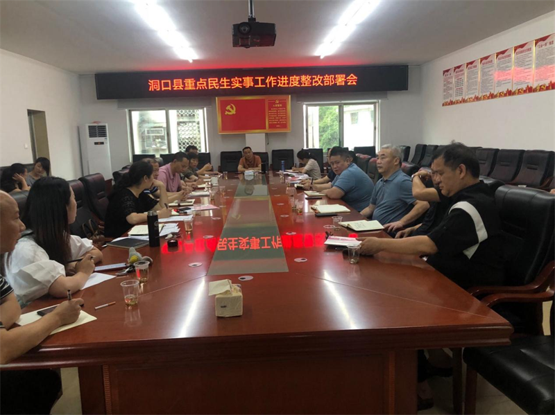 洞口县召开重点民生实事工作进度整改会