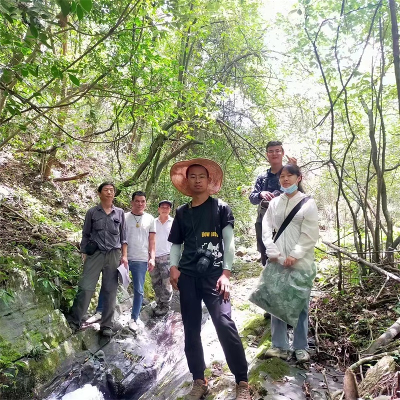 省中南林业科技大学到邵阳县河伯岭林场石开展科技调研
