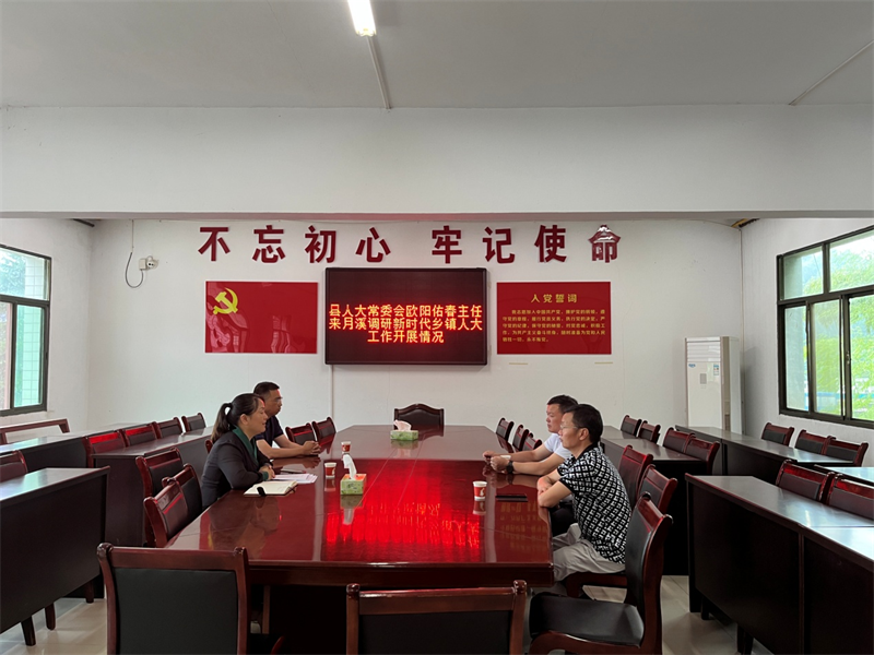 洞口县：欧阳佑春调研月溪镇新时代人大工作开展情况