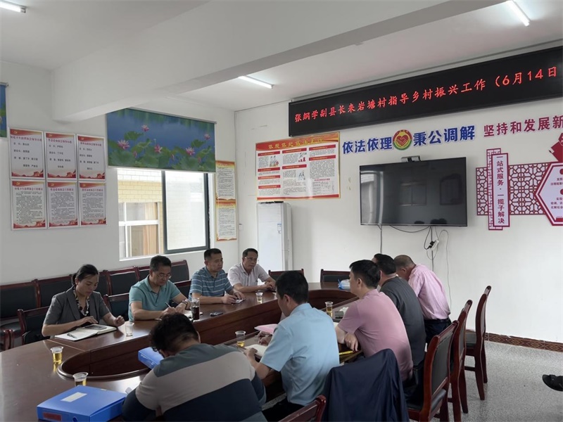 洞口县：张纲学到山门镇岩塘村指导乡村振兴工作
