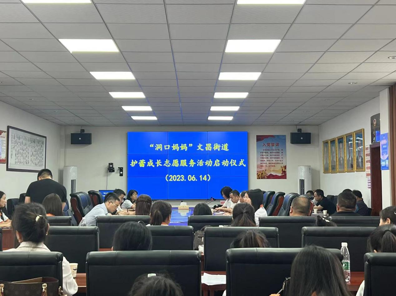 洞口县文昌街道开展“洞口妈妈”护蕾成长志愿服务活动