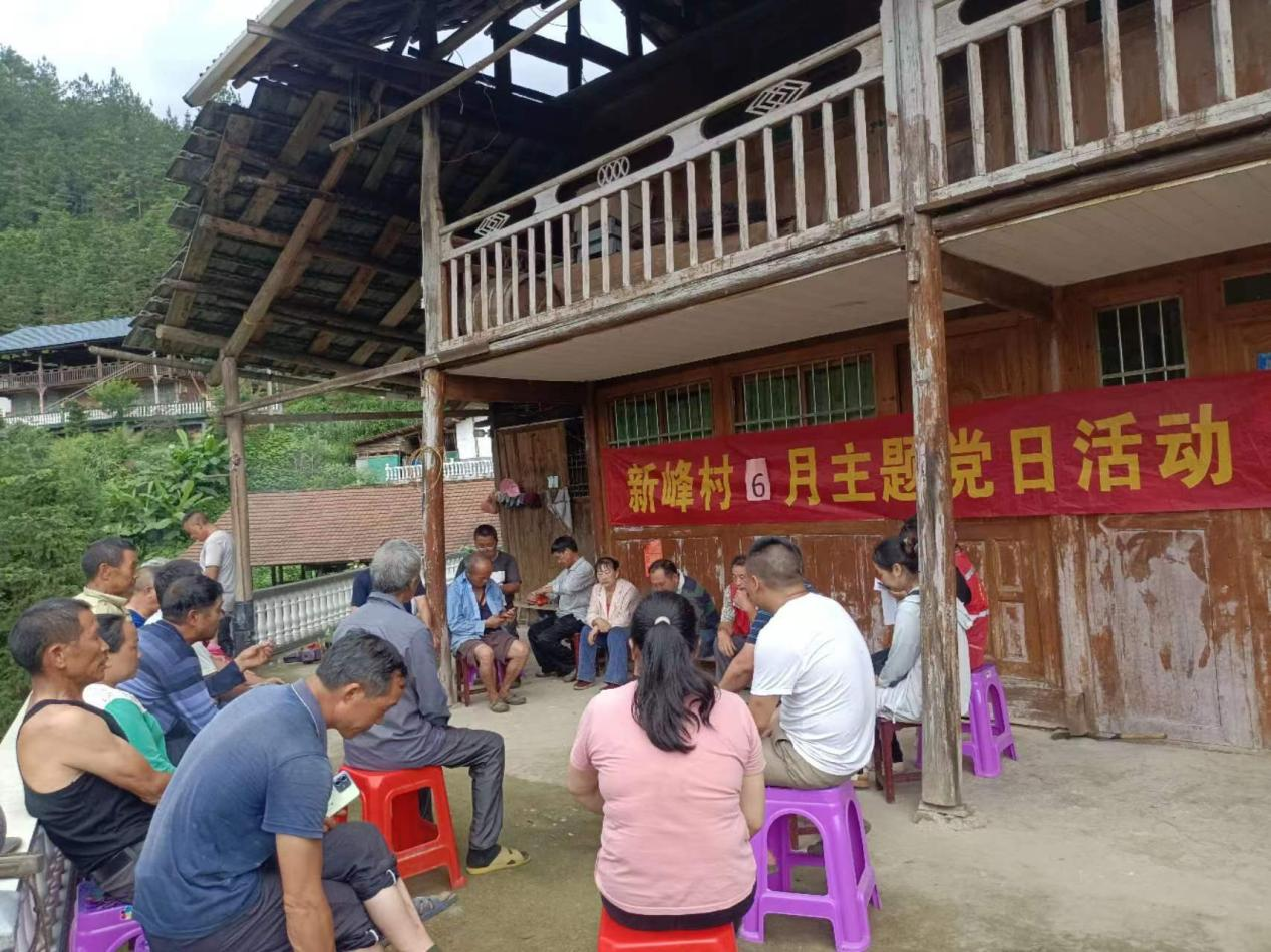 洞口县大屋瑶族乡新峰村：让党建志愿红 保障粮食安全绿