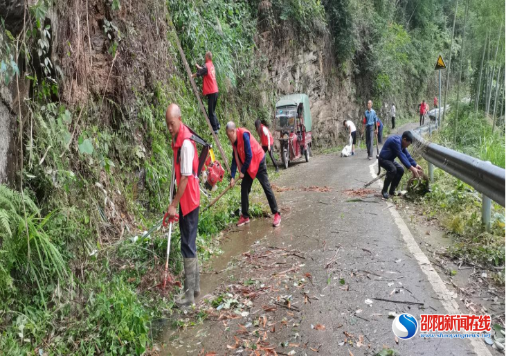 洞口县桐山乡龙桥村：清扫道路障碍物 保障群众出行安全