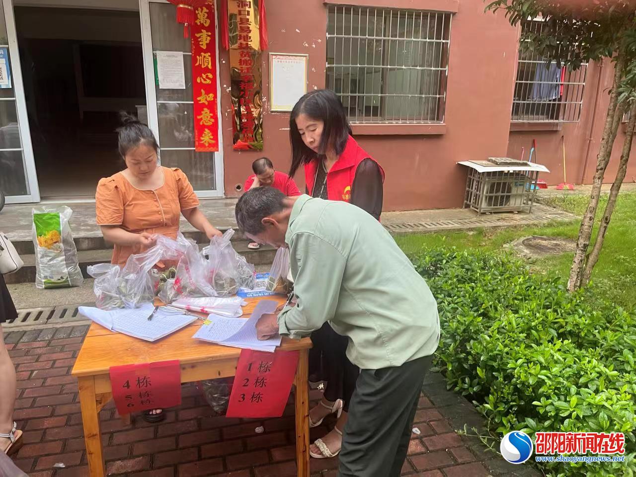 洞口县花古街道幸福小区开展主题志愿服务