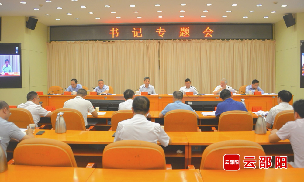 严华专题调度我市地方政府专项债项目实施工作