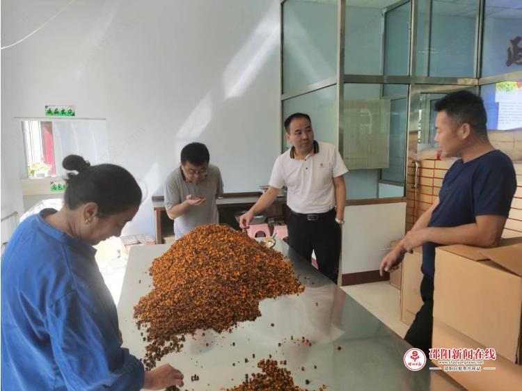 从精准扶贫到助农助产 阳光人寿助力内蒙古察右后旗乡村振兴探索之路