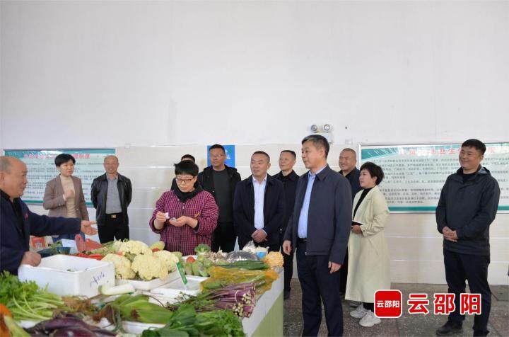 严华在市区督导全国文明城市创建工作
