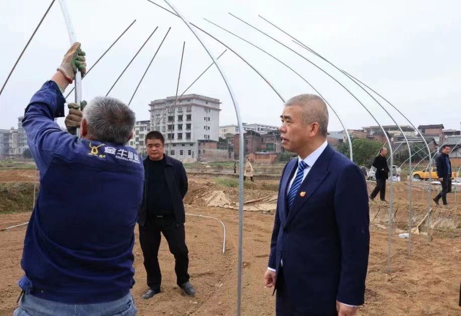 发挥党建引领 推进乡村振兴——邵阳市中心医院赴长冲村走访调研