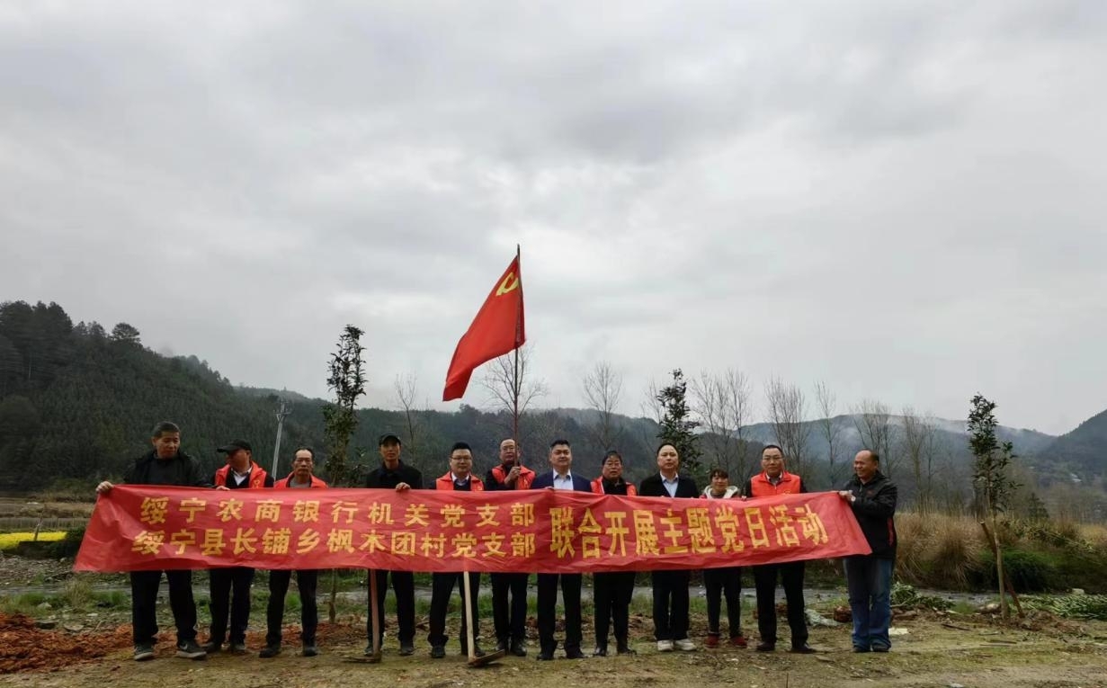 党建引领添新绿|绥宁农商银行开展植树绿化主题党日活动