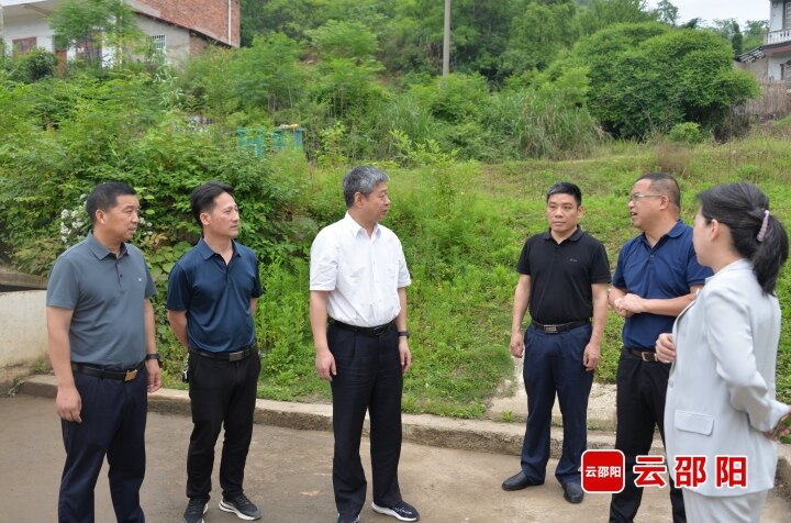 严华在邵东市督导中央生态环境保护督察交办件办理等工作