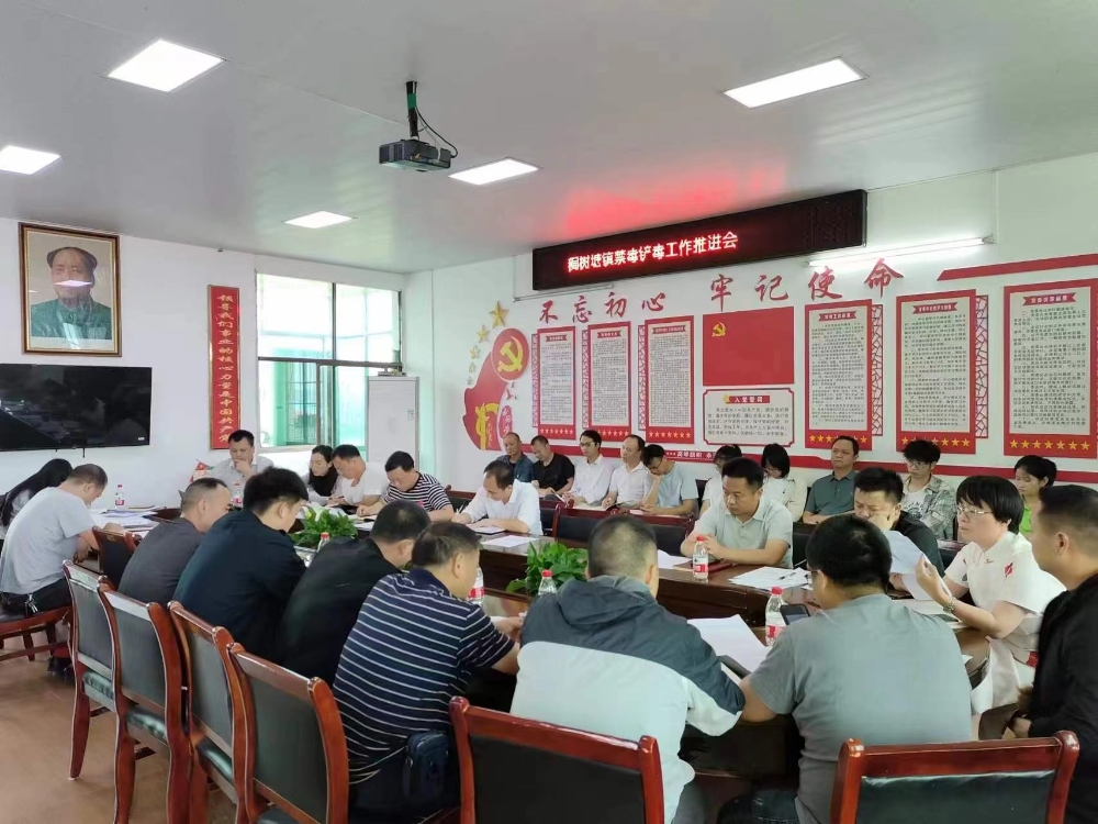 武冈市稠树塘镇召开禁毒工作推进会