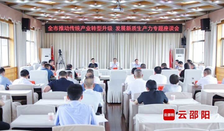 严华主持召开“推动传统产业转型升级 发展新质生产力”专题座谈会