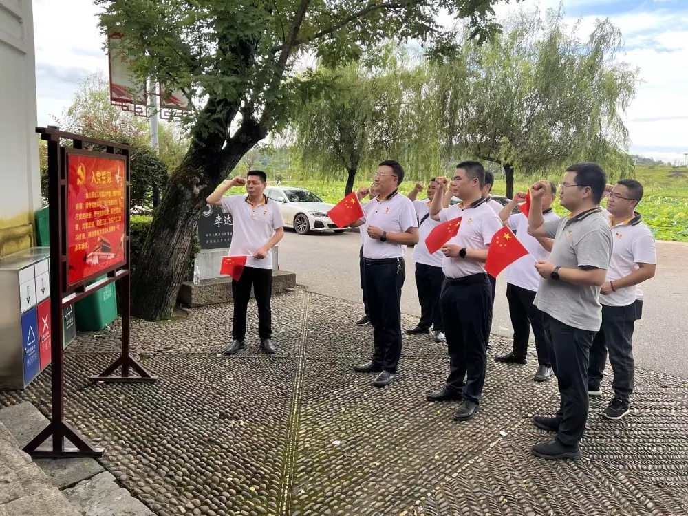 阳光财险湖南省分公司第三党支部开展主题党日活动