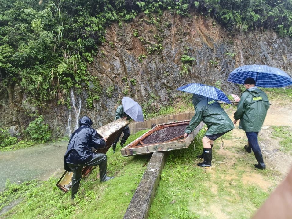 中国人寿保险：向险“逆行”