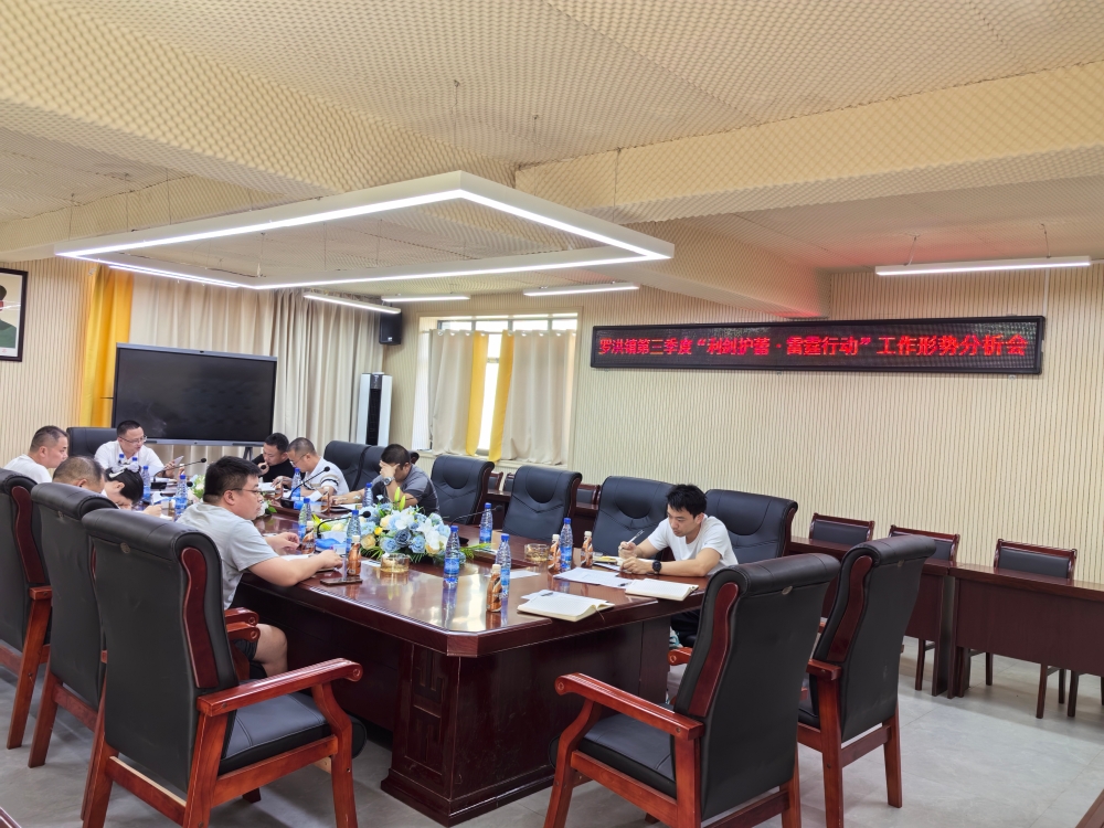 隆回县罗洪镇召开第三季度“利剑护蕾·雷霆行动”工作形势分析会