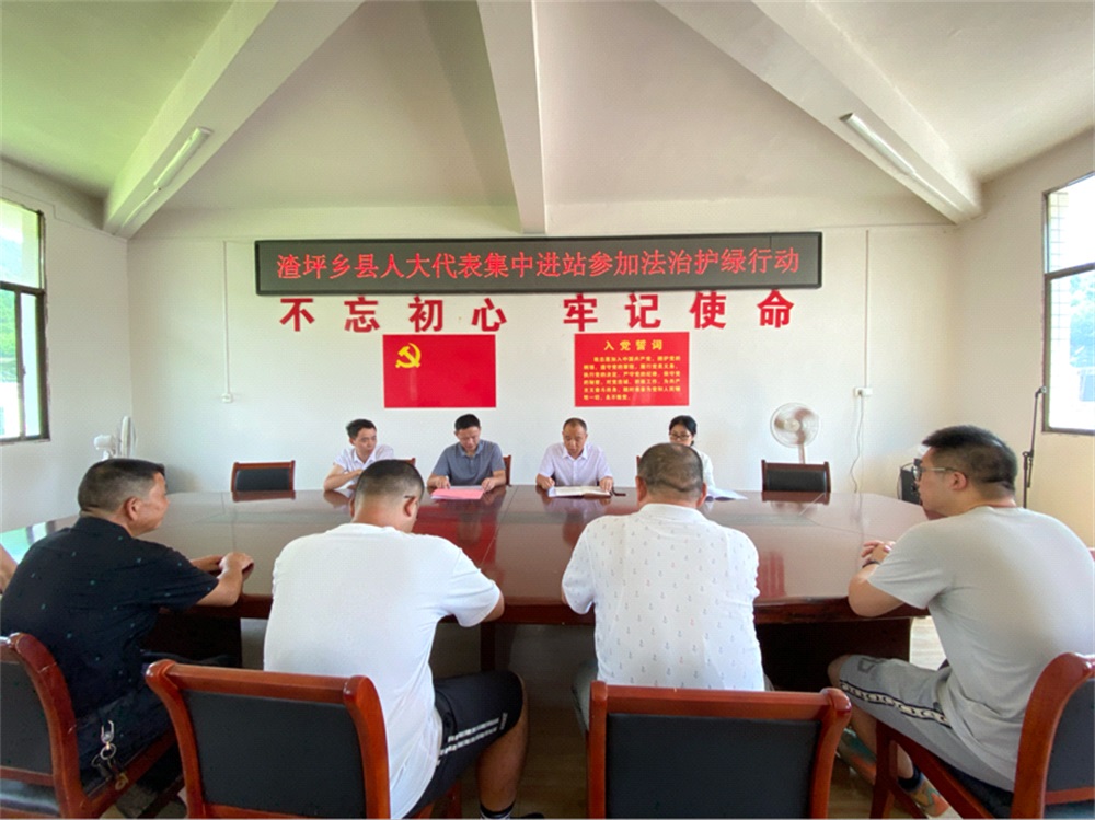 洞口县渣坪乡开展“法治护绿人大行”活动